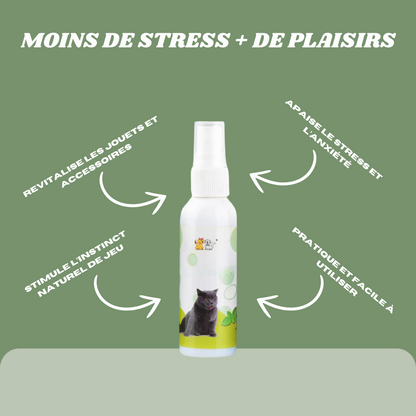 Le Spray Irrésistible pour Chats : Attirez, Amusez, Détendez !