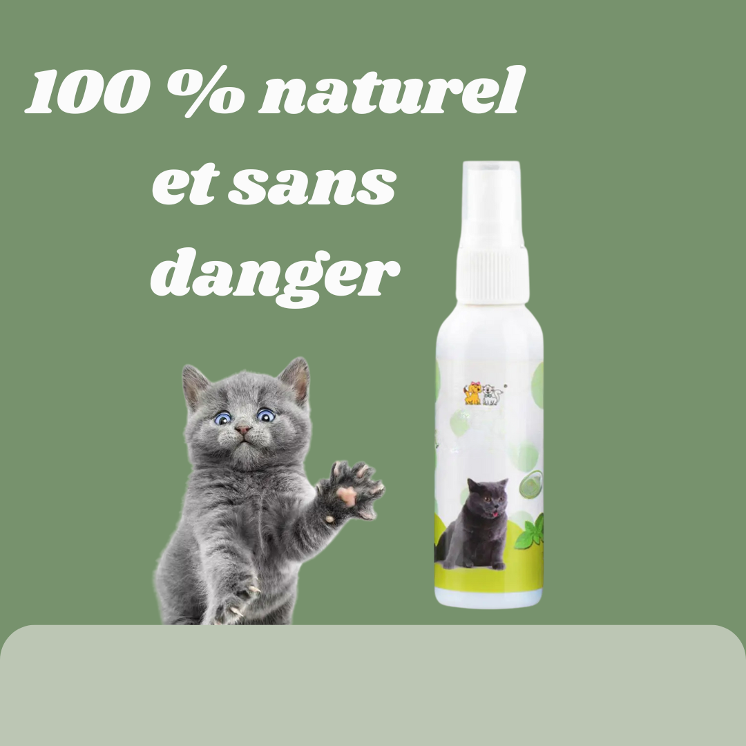 Le Spray Irrésistible pour Chats : Attirez, Amusez, Détendez !