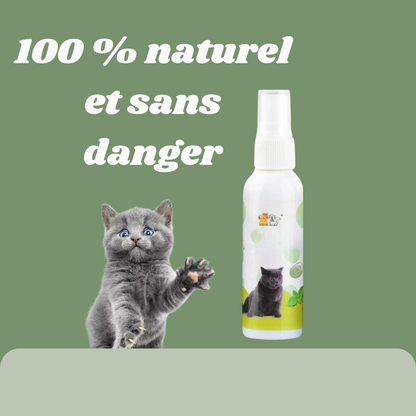 Le Spray Irrésistible pour Chats : Attirez, Amusez, Détendez !